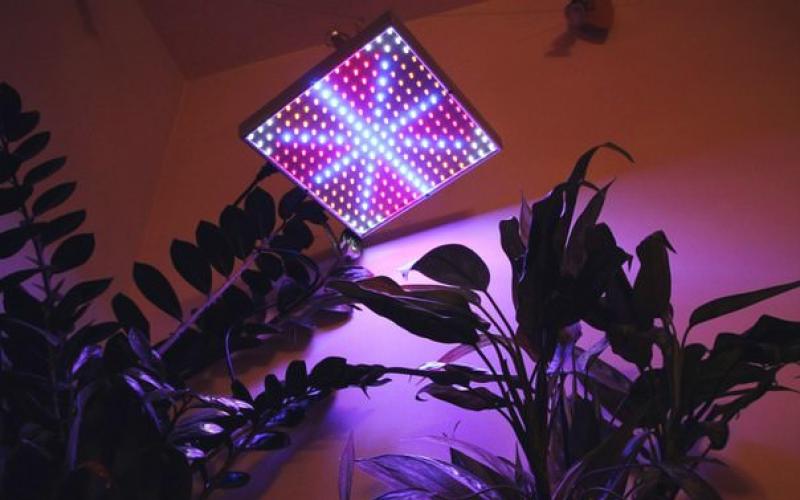 Светодиодные ленты для растений Светодиодное освещение для цветов